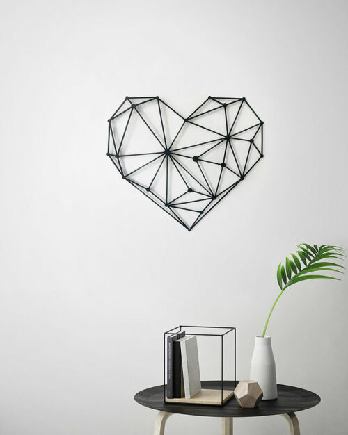 Asimetric heart